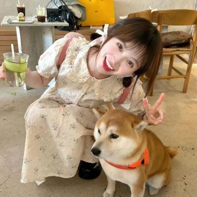 落红